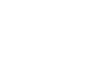 BESOFT logo — official API66 lion arena slot catalog vendor